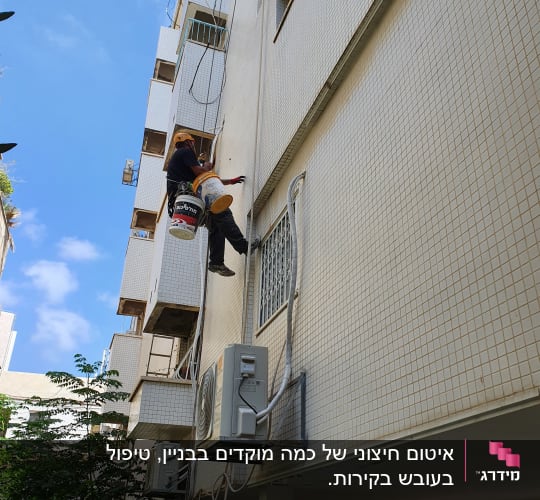 אדם תלוי על חבל עם דלי צבע לאיטום קיר חיצוני